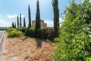 A casa di Fede