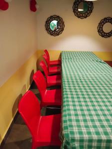 The Shiva Nest