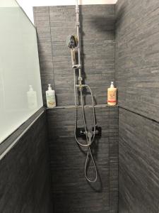 Apartamentos Joli