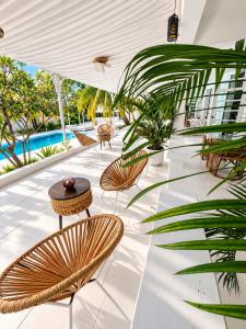 Cocoon Signature