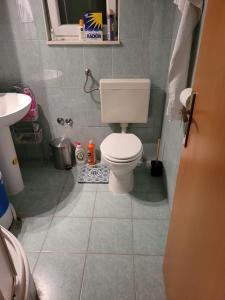 Oferta noclegów 17208801