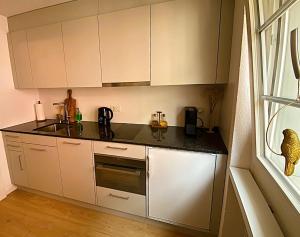 Altstadt-Duo 2 apartments for family & friends