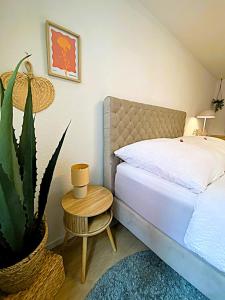 Altstadt-Duo 2 apartments for family & friends
