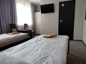 206 Wenedów Apartamenty