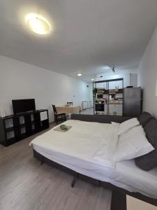 Oferta noclegów 17208948