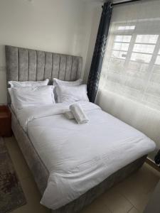 pure comfort home