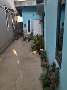Aerilyn homestay Full house