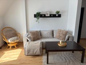 Oferta noclegów 17203882
