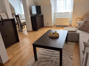 Oferta noclegów 17203882