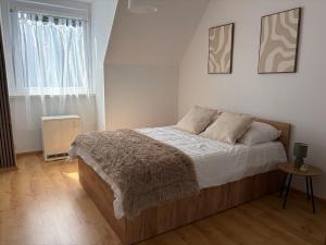 Oferta noclegów 17203882