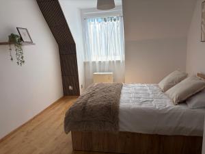 Oferta noclegów 17203882