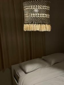 Oferta noclegów 17209661