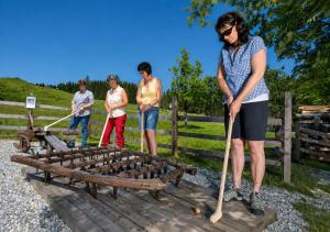 Alpenapartments Embach - Wascherwirt -