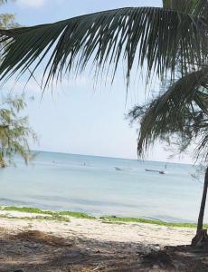 Africa zanzibar beach