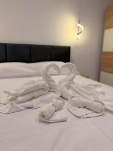 Oferta noclegów 17210259