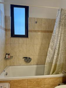 Bliss Garden Jacuzzi