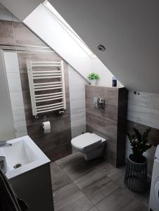 Oferta noclegów 17210840