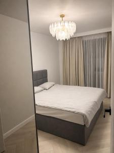 The Nest- Strada Scortarilor