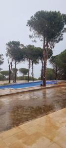 Villa avec piscine au coeur de la forêt