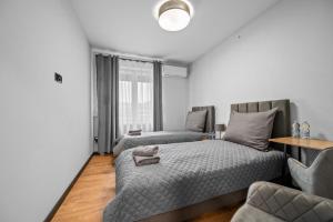 Oferta noclegów 17211078
