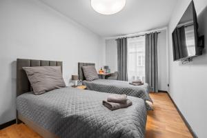 Oferta noclegów 17211078