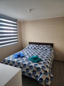 Oferta noclegów 17211136