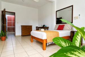 Casa Luma-Coliving