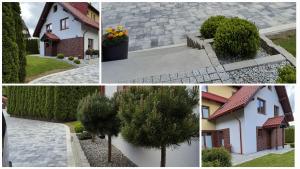 Oferta noclegów 17204954