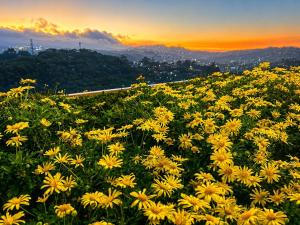 303 Bristle Ridge Baguio City