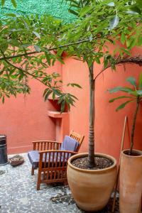Departamento Plata con Cocineta en Centro Historico Oaxaca