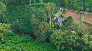 Arcadea Eco Lodge - Kuruwita