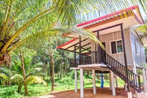 Forest view cabin