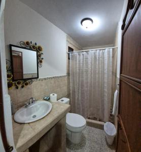 Oferta noclegów 17212104