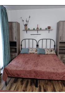 Oferta noclegów 17212265