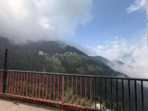 Wild Sapiens Station Dalhousie