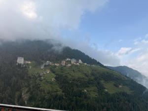 Wild Sapiens Station Dalhousie