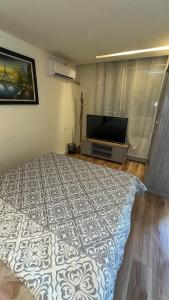 Oferta noclegów 17212377