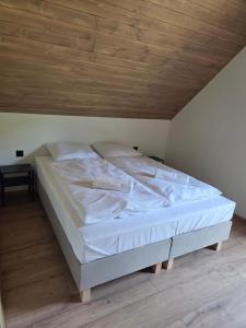 Oferta noclegów 17212423