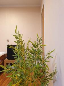 Bee Happy Hostel and Gobi amazing tour