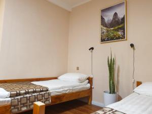 Bee Happy Hostel and Gobi amazing tour