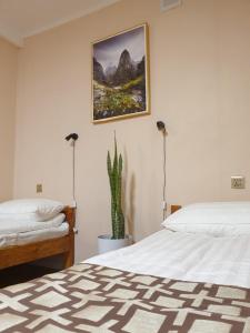 Bee Happy Hostel and Gobi amazing tour