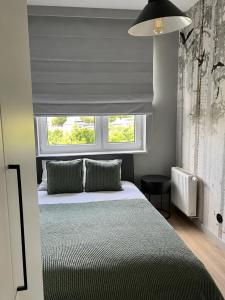 Apartament w Centrum - Las, jezioro & Stare Miasto 38m2