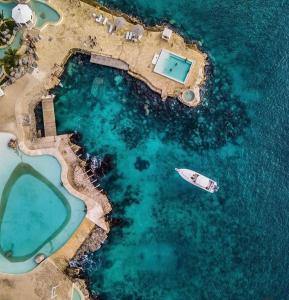 Ocean Soul Tracadero Dominicus Marina