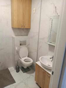 Oferta noclegów 17213564