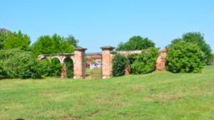 Salus House Albertirsa