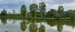 Salus House Albertirsa