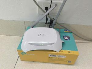 Bông Trắng PDM302