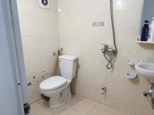 Bông Trắng PDM302