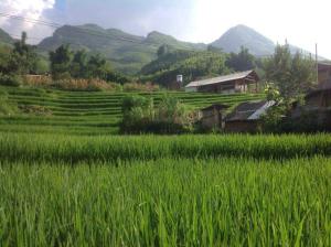 Biệt Thự (Villa)