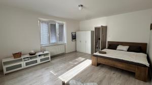 Oferta noclegów 17213860